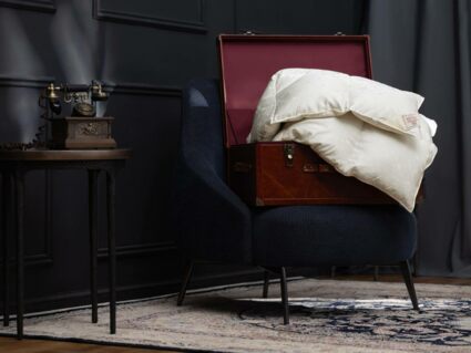 Одеяло German Grass EXCLUSIVE SILK EIDER DOWN всесезонное 