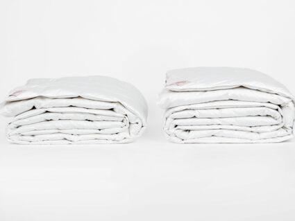 Одеяло German Grass Silver Down Grass всесезонное 220х240