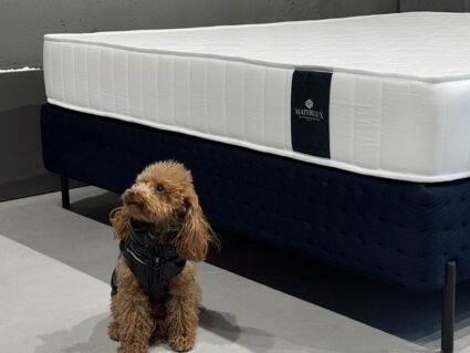 Матрас Materlux Aventino Forte 70х140