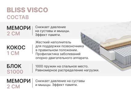 Матрас Димакс Bliss Visco 95х200